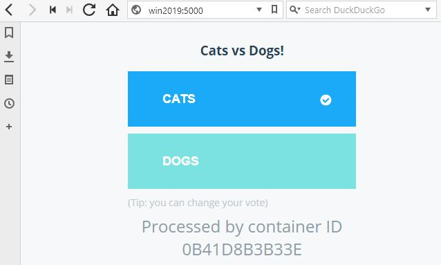 Docker container that logs all DNS and new outbound TCP UDP connections.