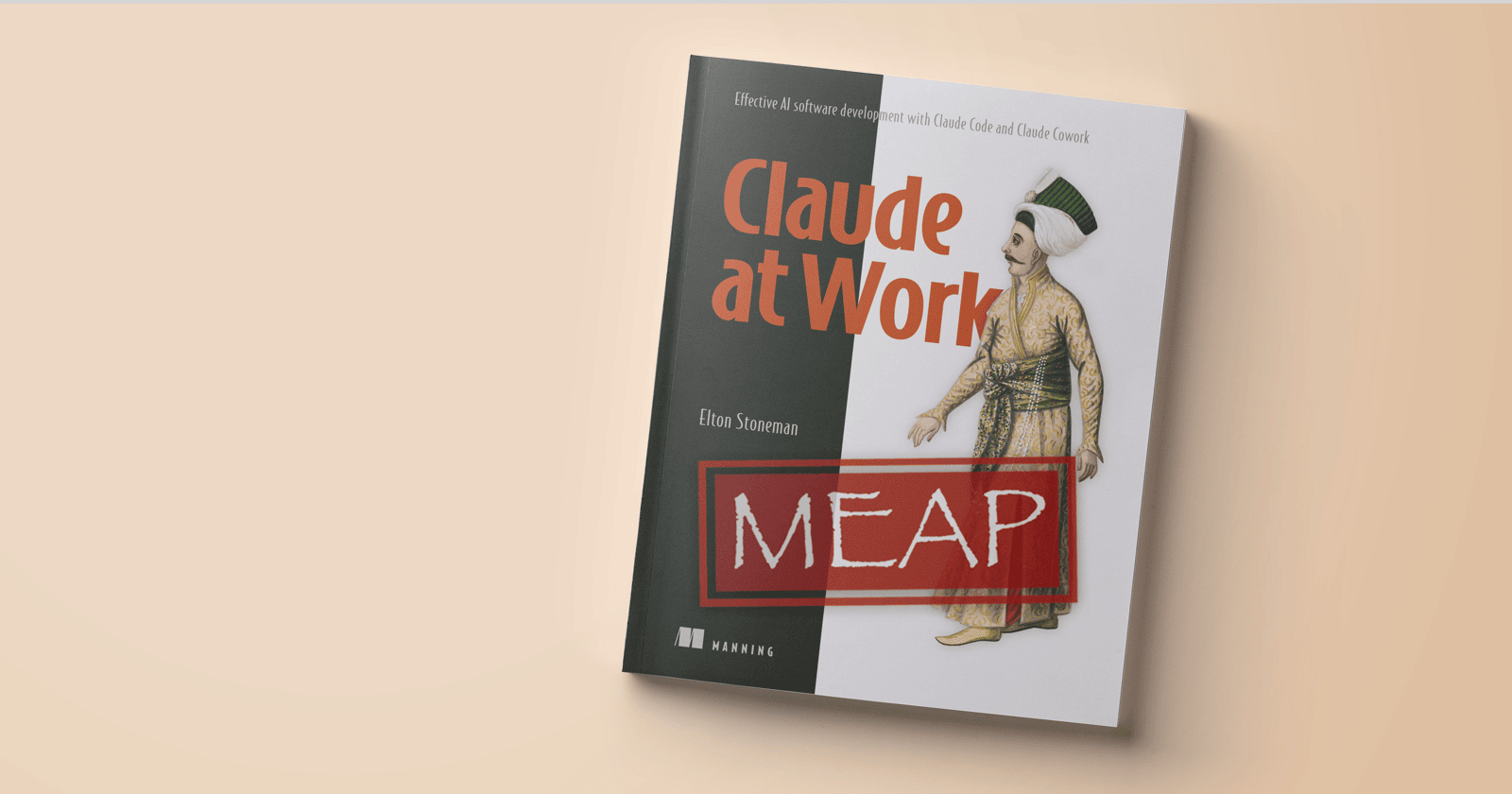 Claude at Work: My New Book